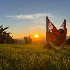 Alternative view of La Siesta Udine Organic Cotton Comfort Size Hammock Chair with Stand